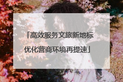 高效服务文旅新地标 优化营商环境再提速