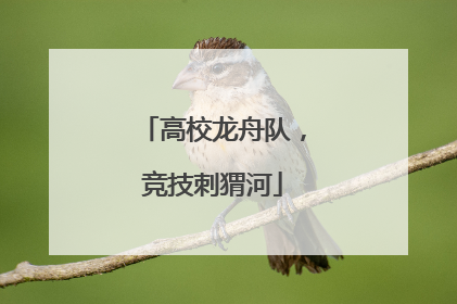 高校龙舟队，竞技刺猬河