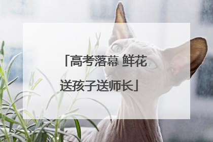高考落幕 鲜花送孩子送师长