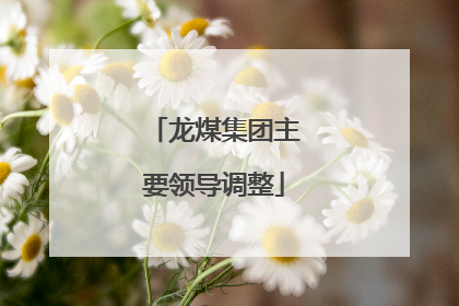 龙煤集团主要领导调整