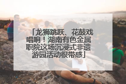 龙狮跳跃、花鼓戏唱响！湖南有色金属职院这场沉浸式非遗游园活动很带感
