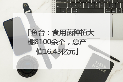 鱼台：食用菌种植大棚8100余个，总产值16.43亿元