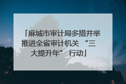 麻城市审计局多措并举推进全省审计机关 “三大提升年” 行动