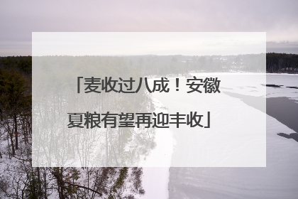 麦收过八成！安徽夏粮有望再迎丰收