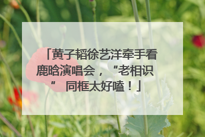 黄子韬徐艺洋牵手看鹿晗演唱会，“老相识” 同框太好嗑！