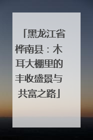 黑龙江省桦南县：木耳大棚里的丰收盛景与共富之路