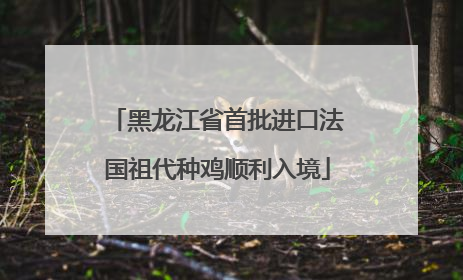 黑龙江省首批进口法国祖代种鸡顺利入境