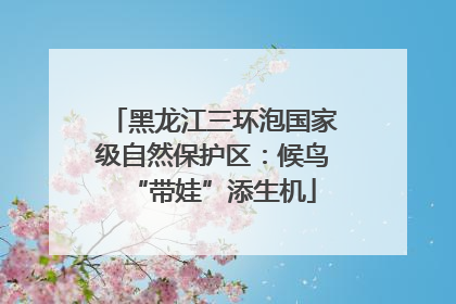 黑龙江三环泡国家级自然保护区：候鸟“带娃”添生机