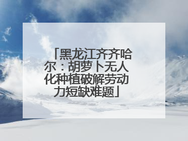 黑龙江齐齐哈尔：胡萝卜无人化种植破解劳动力短缺难题
