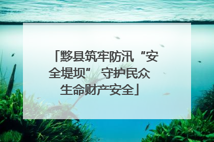 黟县筑牢防汛“安全堤坝” 守护民众生命财产安全