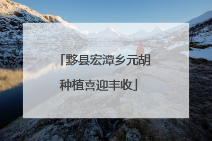 黟县宏潭乡元胡种植喜迎丰收