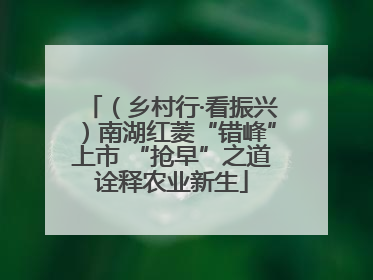 （乡村行·看振兴）南湖红菱“错峰”上市 “抢早”之道诠释农业新生
