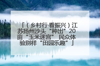 （乡村行·看振兴）江苏扬州沙头“种出”20亩“玉米迷宫” 民众体验别样“田园乐趣”