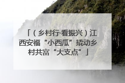 （乡村行·看振兴）江西安福“小西瓜”撬动乡村共富“大支点”