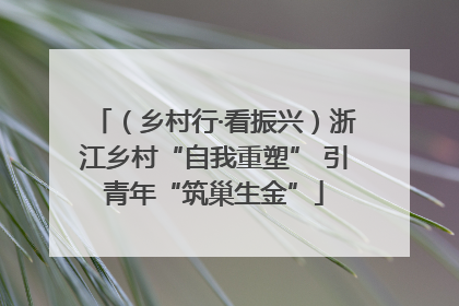 （乡村行·看振兴）浙江乡村“自我重塑” 引青年“筑巢生金”