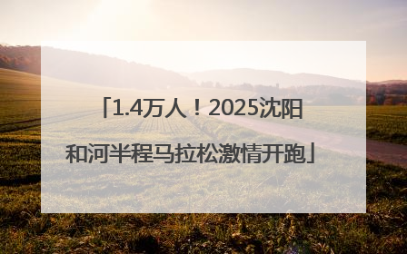 1.4万人！2025沈阳和河半程马拉松激情开跑
