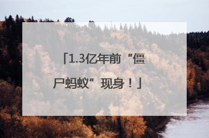 1.3亿年前“僵尸蚂蚁”现身！
