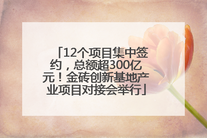 12个项目集中签约，总额超300亿元！金砖创新基地产业项目对接会举行