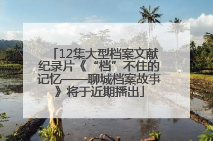12集大型档案文献纪录片《“档”不住的记忆——聊城档案故事》将于近期播出