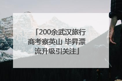 200余武汉旅行商考察英山 毕昇漂流升级引关注