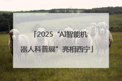 2025“AI智能机器人科普展”亮相西宁