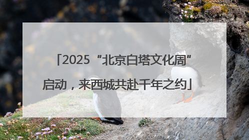 2025“北京白塔文化周”启动，来西城共赴千年之约