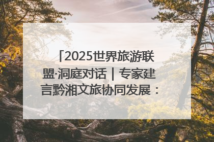 2025世界旅游联盟·洞庭对话｜专家建言黔湘文旅协同发展：聚焦产品稀缺性 深化区域经验共享
