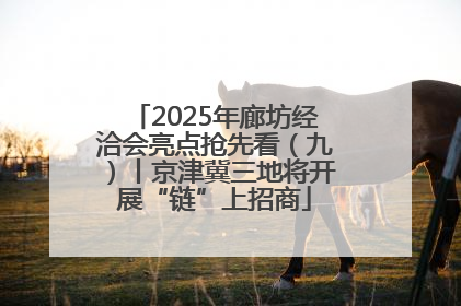 2025年廊坊经洽会亮点抢先看（九）丨京津冀三地将开展“链”上招商