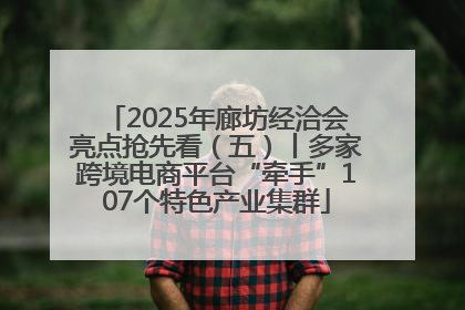 2025年廊坊经洽会亮点抢先看（五）丨多家跨境电商平台“牵手”107个特色产业集群