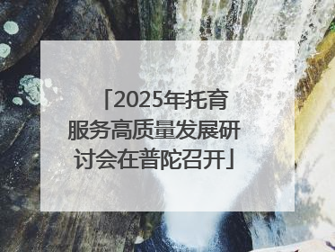 2025年托育服务高质量发展研讨会在普陀召开