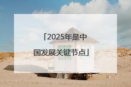 2025年是中国发展关键节点