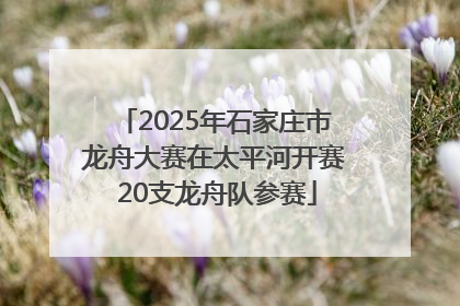 2025年石家庄市龙舟大赛在太平河开赛 20支龙舟队参赛