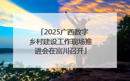 2025广西数字乡村建设工作现场推进会在富川召开
