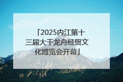 2025内江第十三届大千龙舟经贸文化博览会开幕