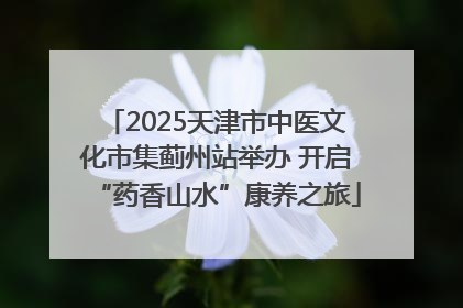 2025天津市中医文化市集蓟州站举办 开启“药香山水”康养之旅