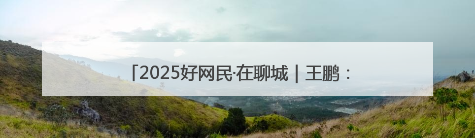 2025好网民·在聊城｜王鹏：扎根故土担使命 妙笔著文扬正气