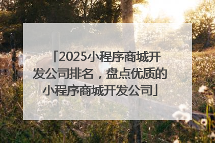 2025小程序商城开发公司排名，盘点优质的小程序商城开发公司