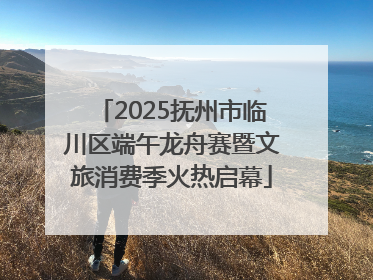 2025抚州市临川区端午龙舟赛暨文旅消费季火热启幕