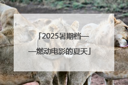 2025暑期档——燃动电影的夏天