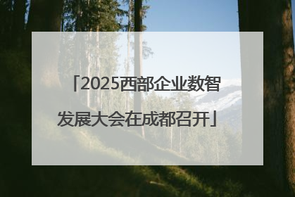 2025西部企业数智发展大会在成都召开
