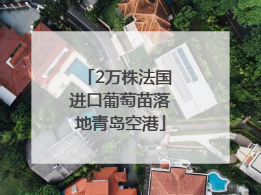 2万株法国进口葡萄苗落地青岛空港