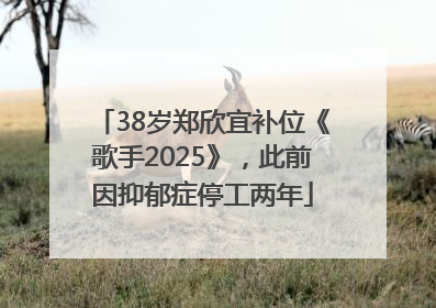 38岁郑欣宜补位《歌手2025》，此前因抑郁症停工两年
