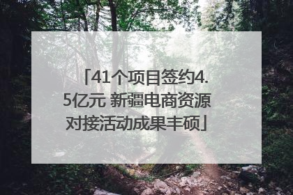 41个项目签约4.5亿元 新疆电商资源对接活动成果丰硕
