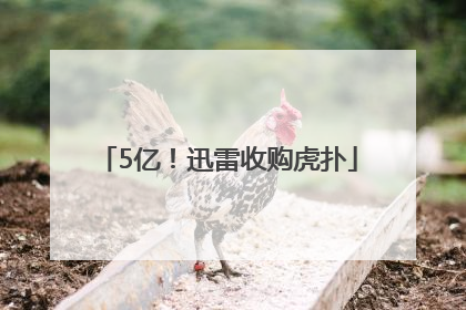 5亿！迅雷收购虎扑