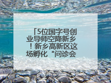 5位国字号创业导师空降新乡！新乡高新区这场孵化“问诊会”干货满满