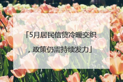 5月居民信贷冷暖交织，政策仍需持续发力