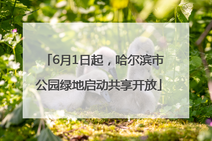 6月1日起，哈尔滨市公园绿地启动共享开放