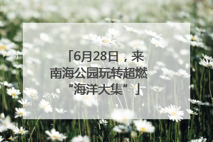 6月28日，来南海公园玩转超燃 “海洋大集”