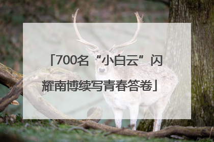 700名“小白云”闪耀南博续写青春答卷