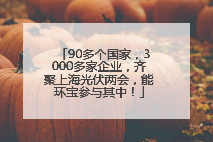 90多个国家，3000多家企业，齐聚上海光伏两会，能环宝参与其中！